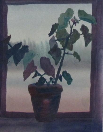 Plante et fenêtre